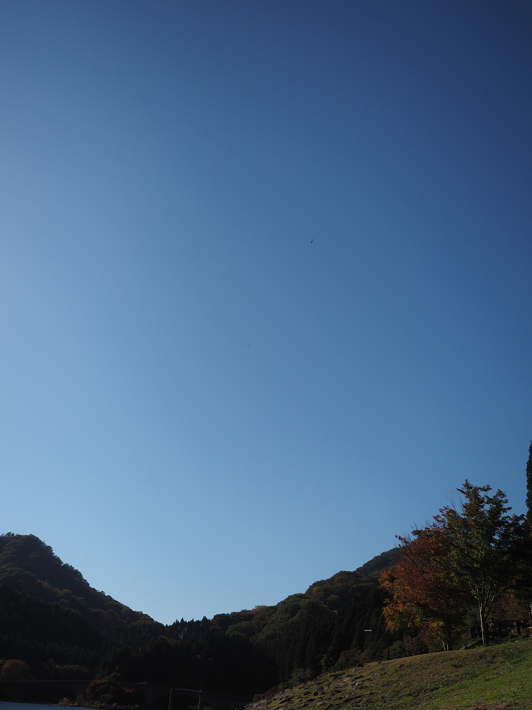 PA280692.jpg