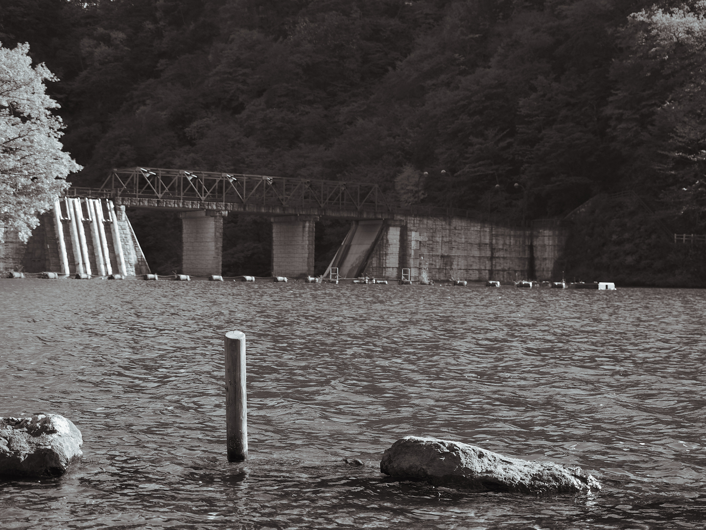 PA280694.jpg