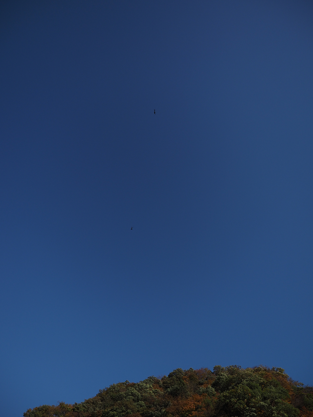 PA280695.jpg