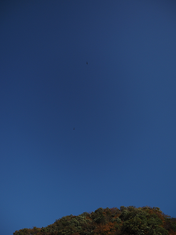 PA280695_thumb.png