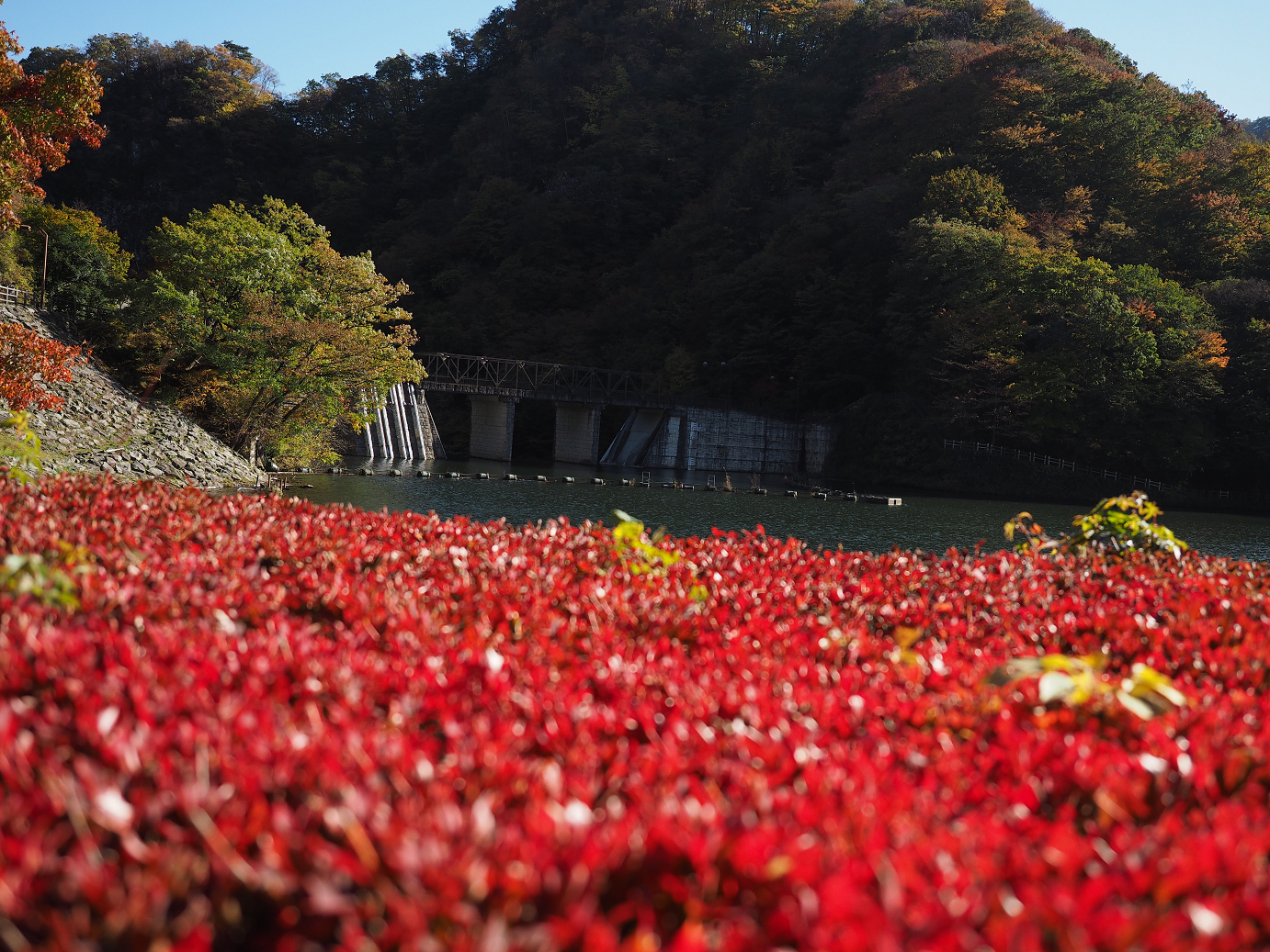 PA280698.jpg