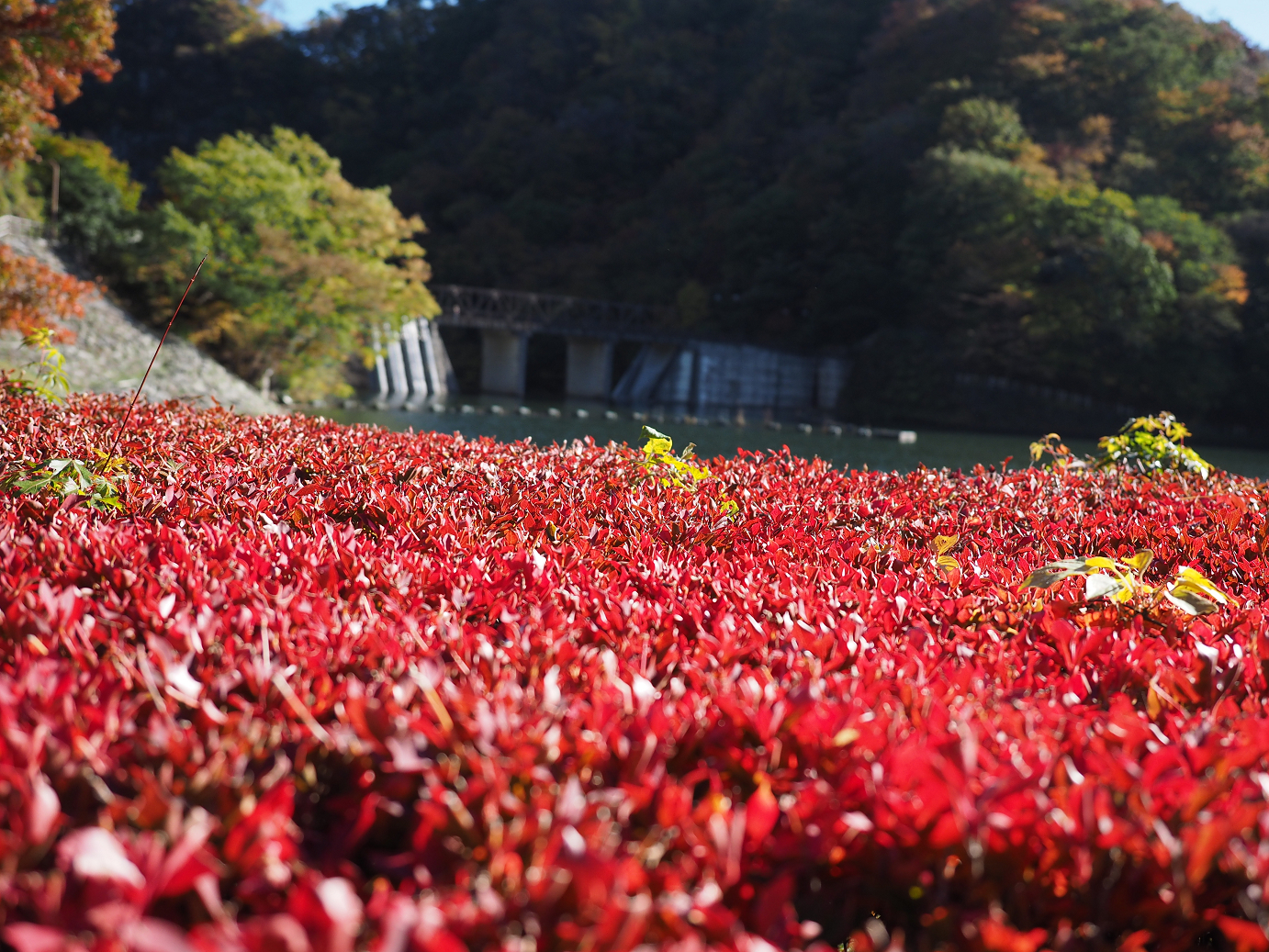 PA280700.jpg