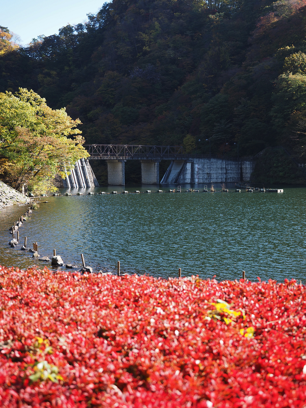 PA280701.jpg