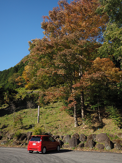 PA280705_thumb.png