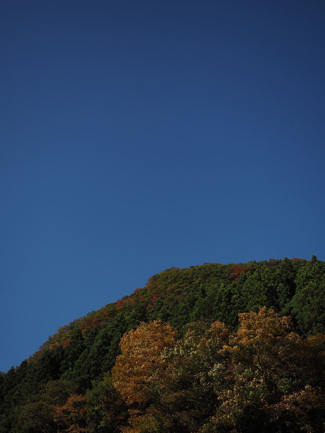 PA280709.jpg