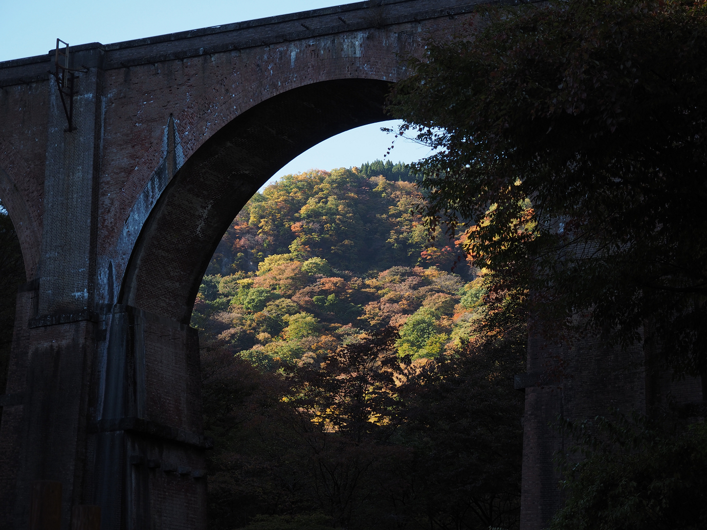 PA280715.jpg