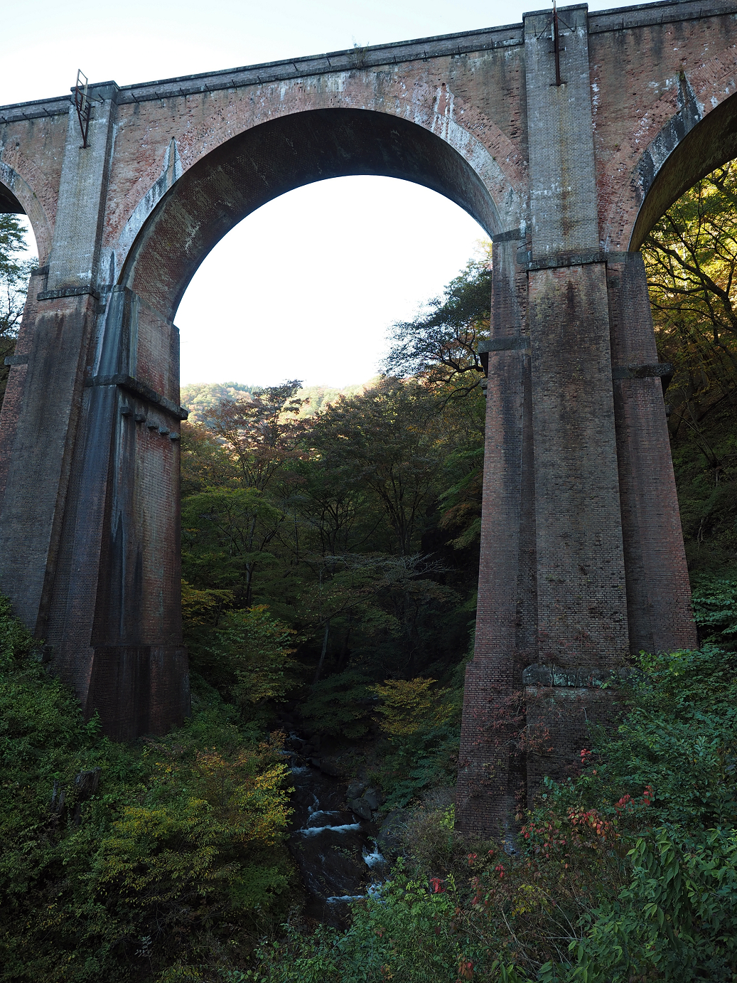 PA280716.jpg