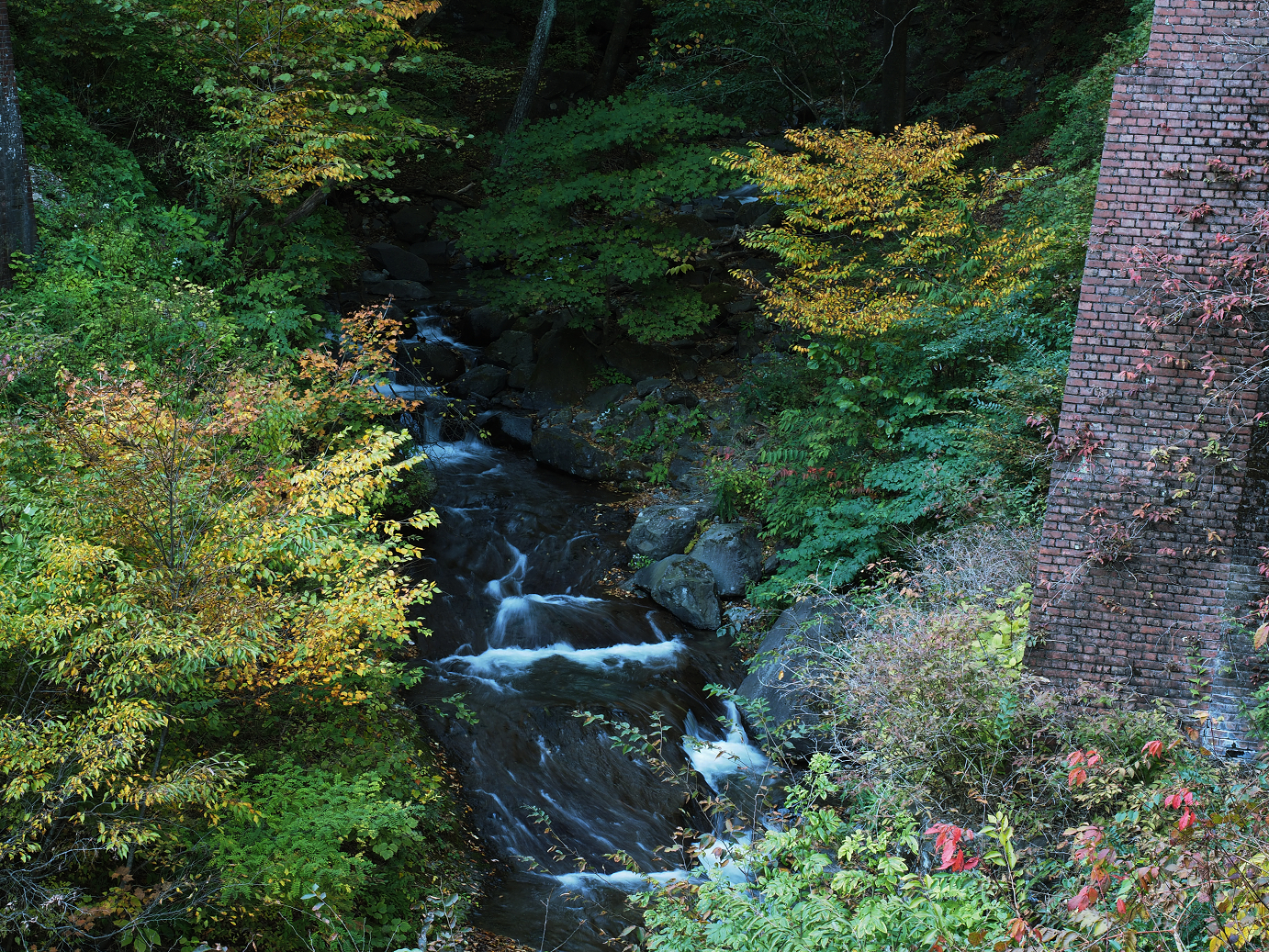 PA280722.jpg