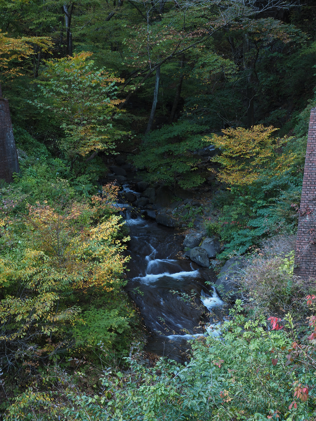 PA280725.jpg