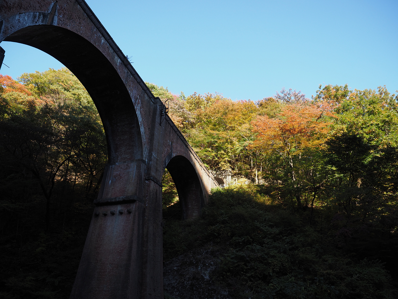 PA280729.jpg
