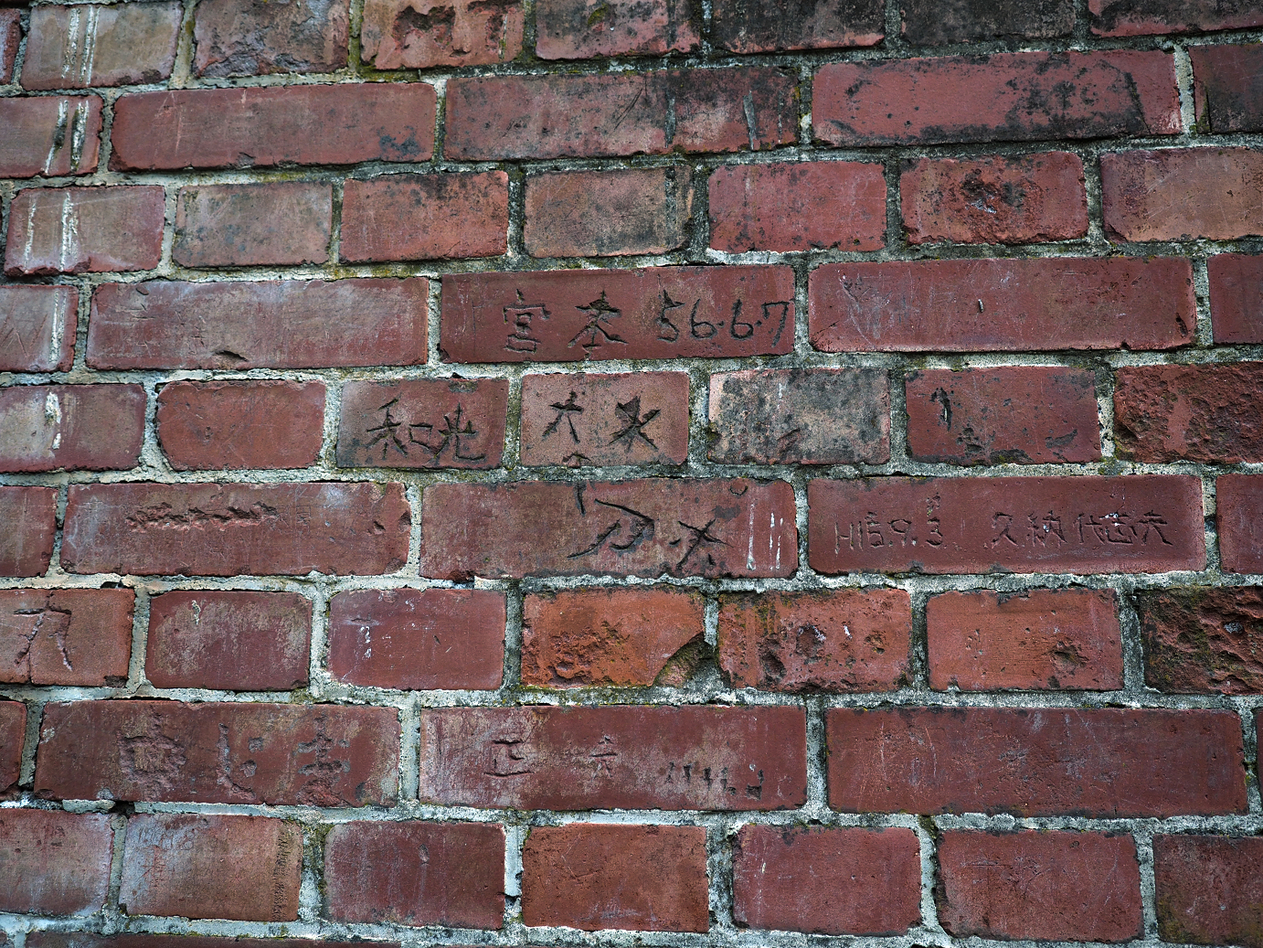 PA280738.jpg