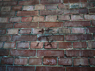 PA280741_thumb.png