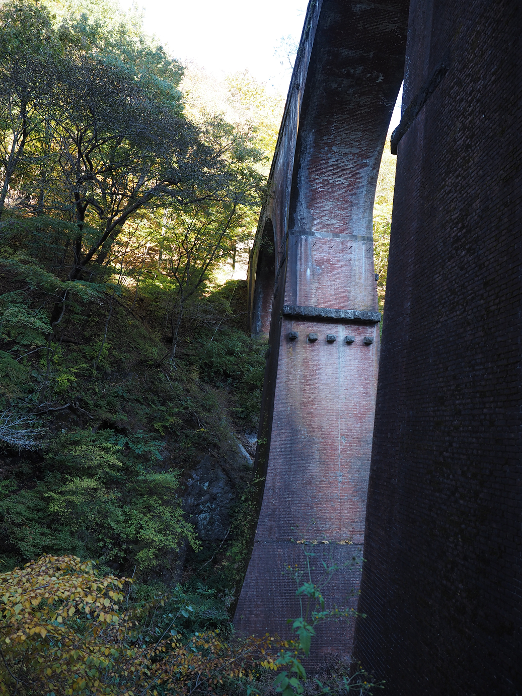 PA280745.jpg