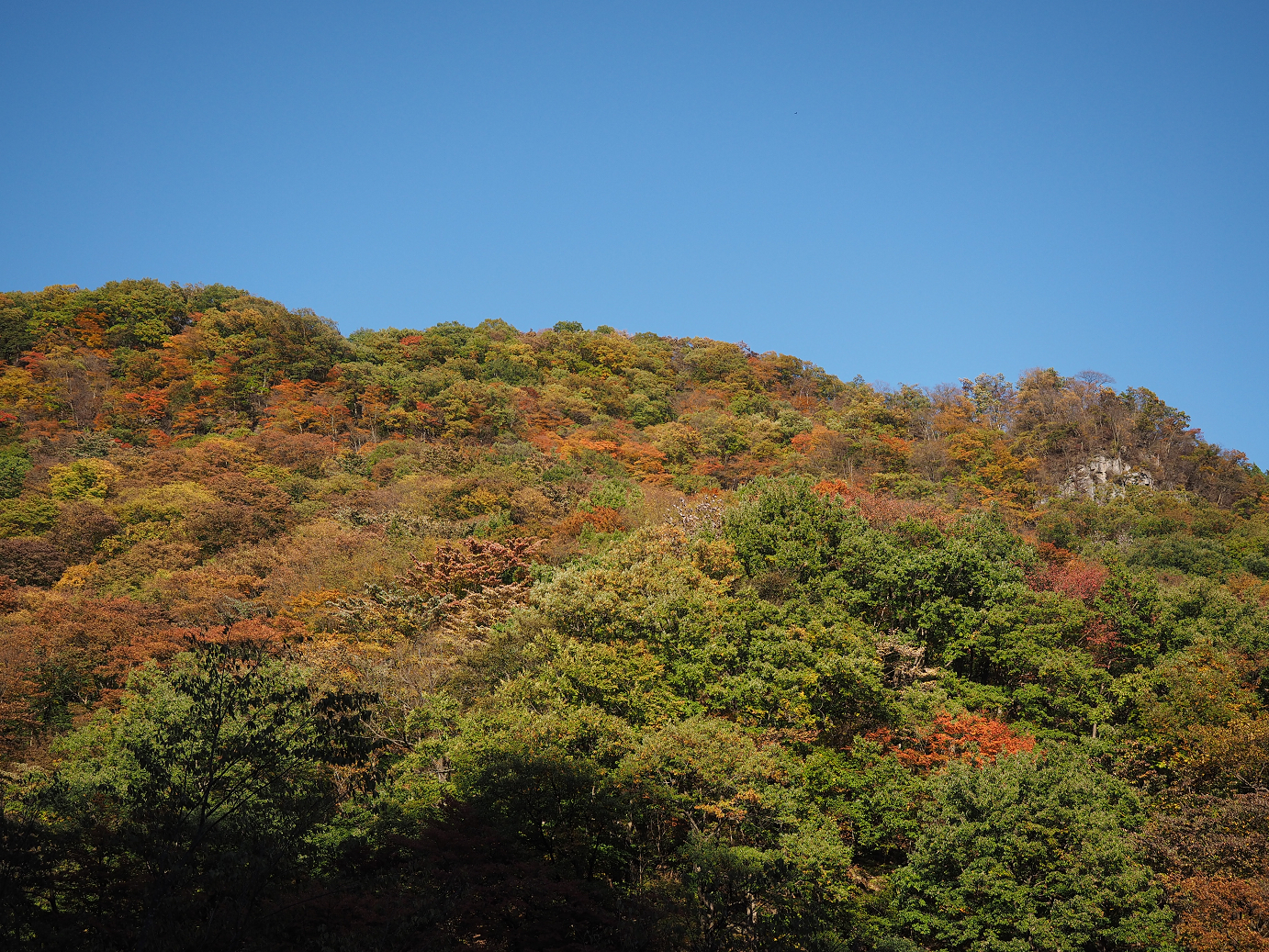 PA280764.jpg