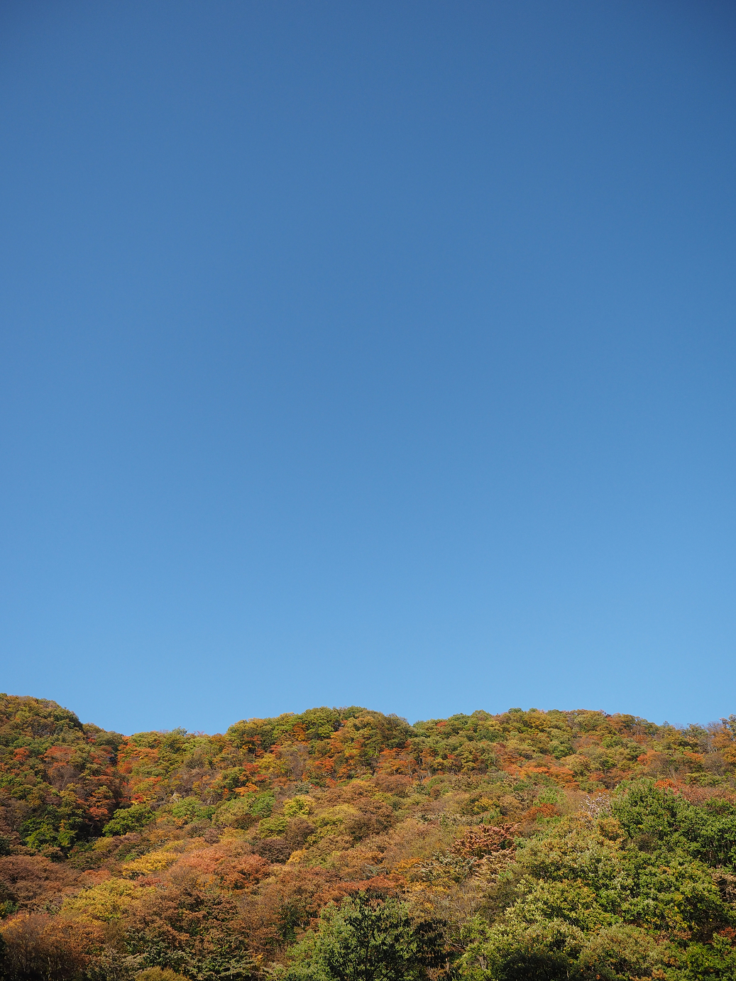 PA280766.jpg