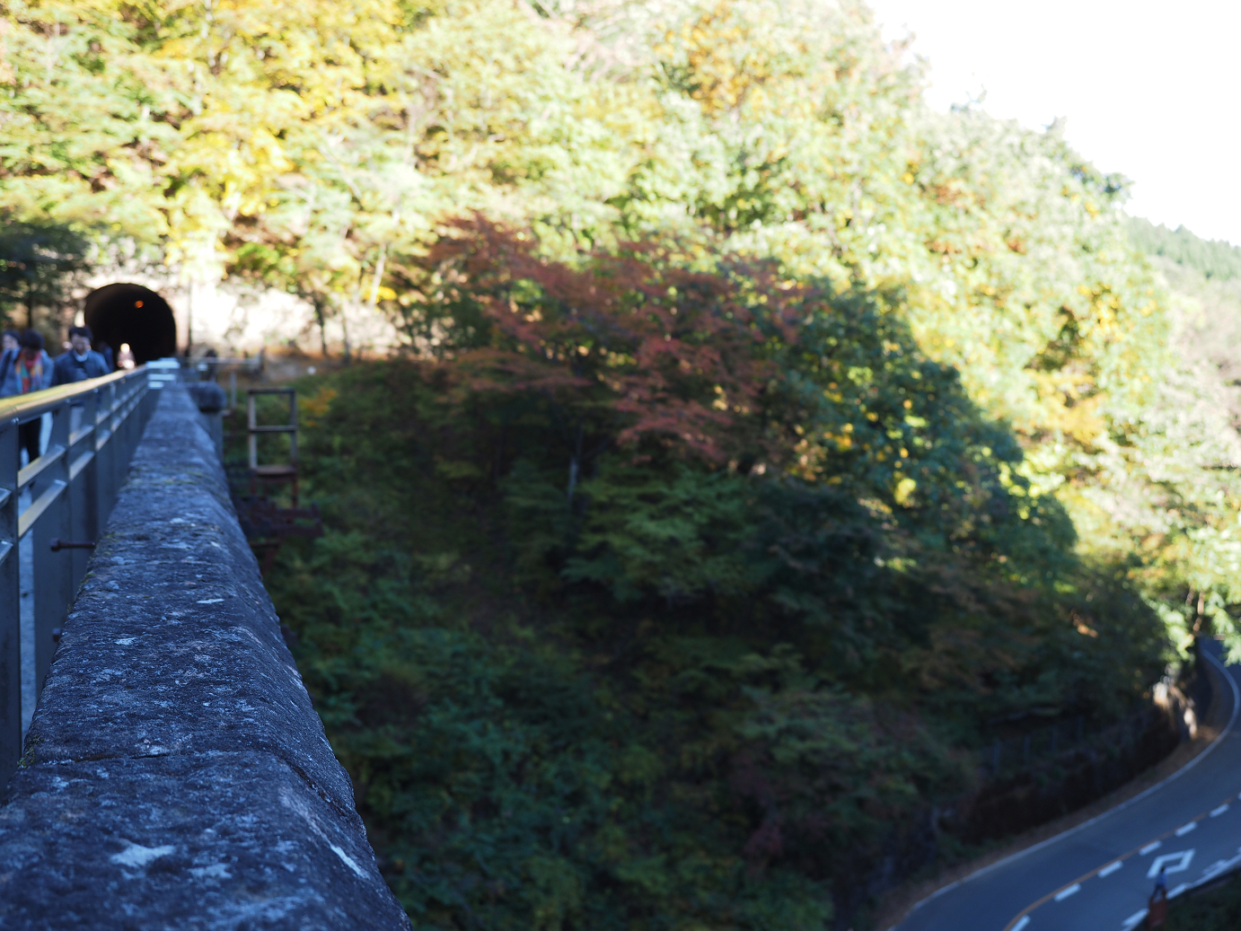 PA280771.jpg