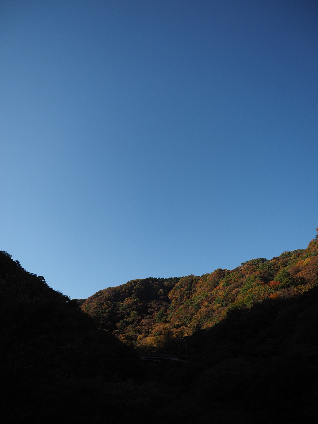 PA280773.jpg