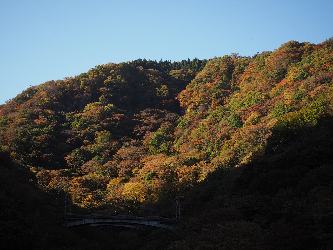 PA280780.jpg