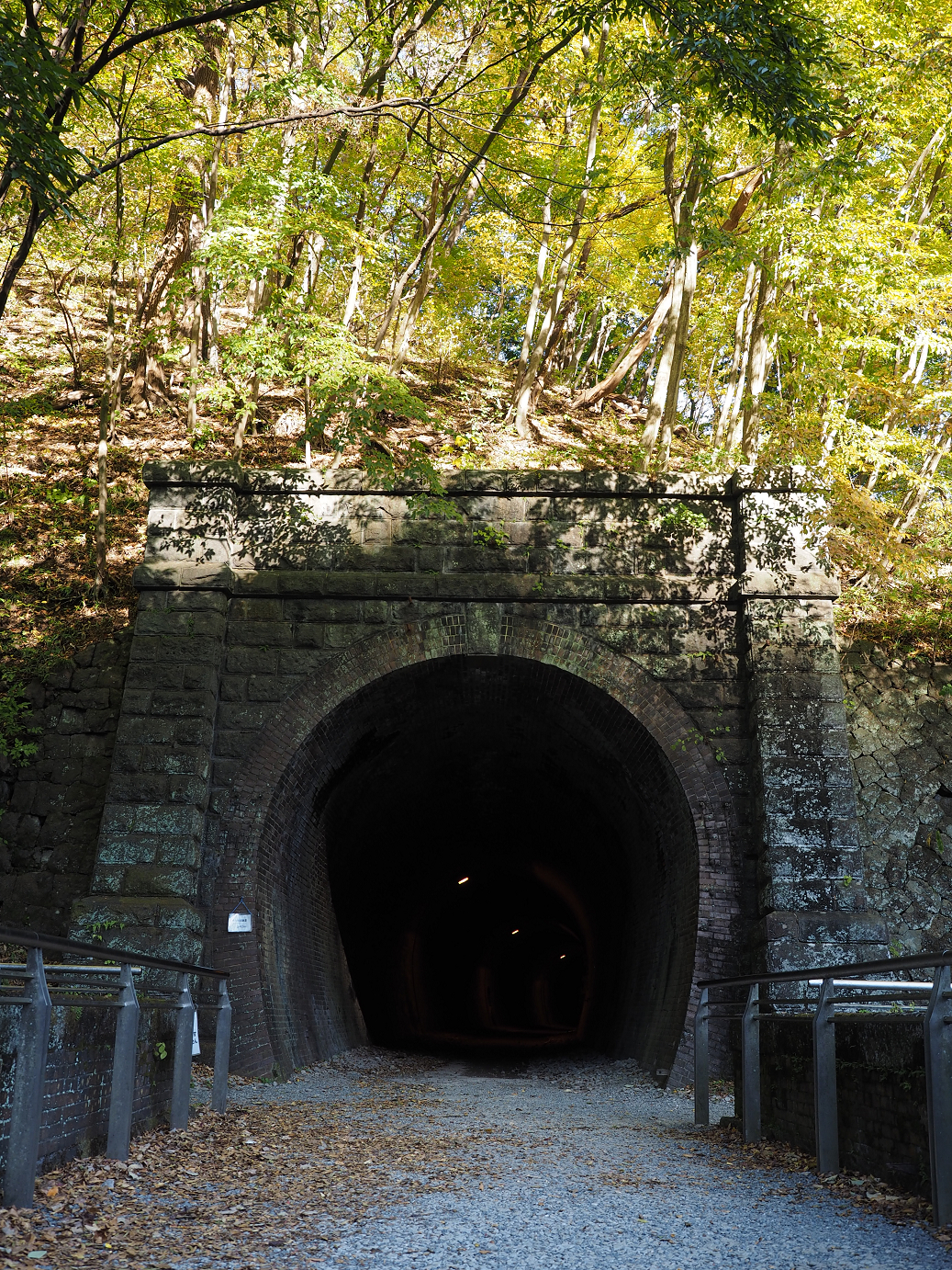 PA280785.jpg