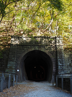 PA280785_thumb.png
