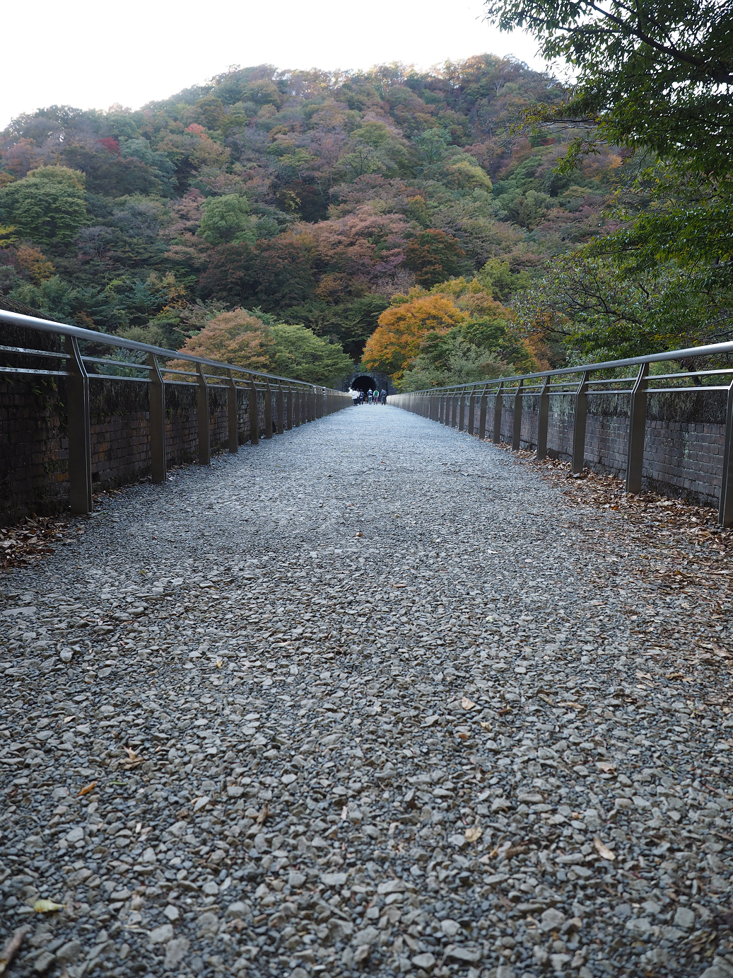 PA280792.jpg