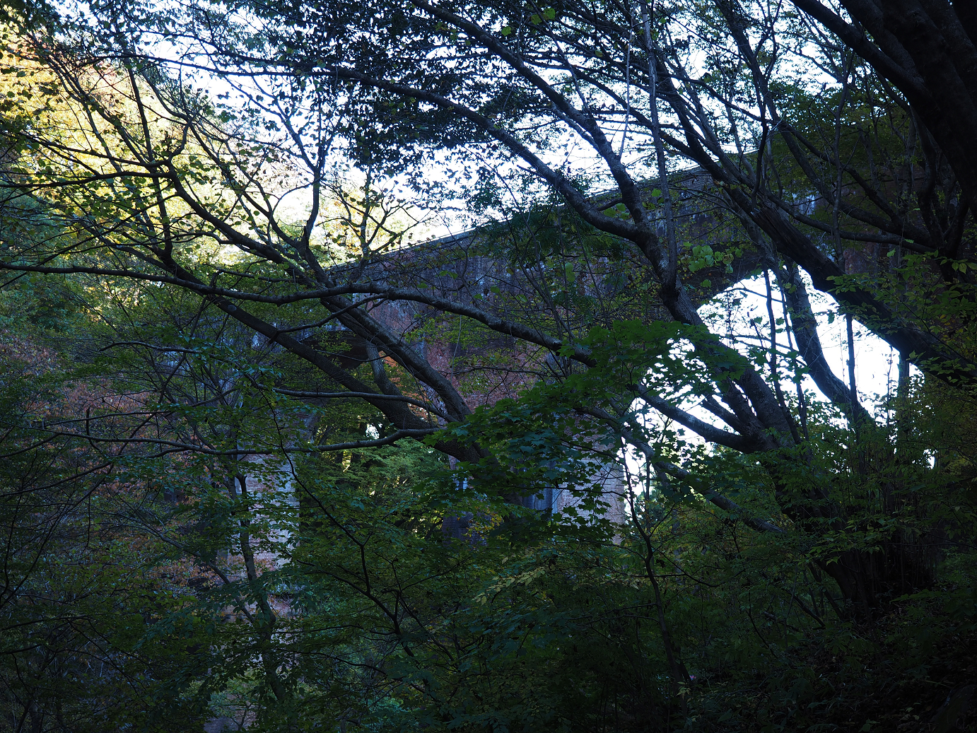 PA280796.jpg