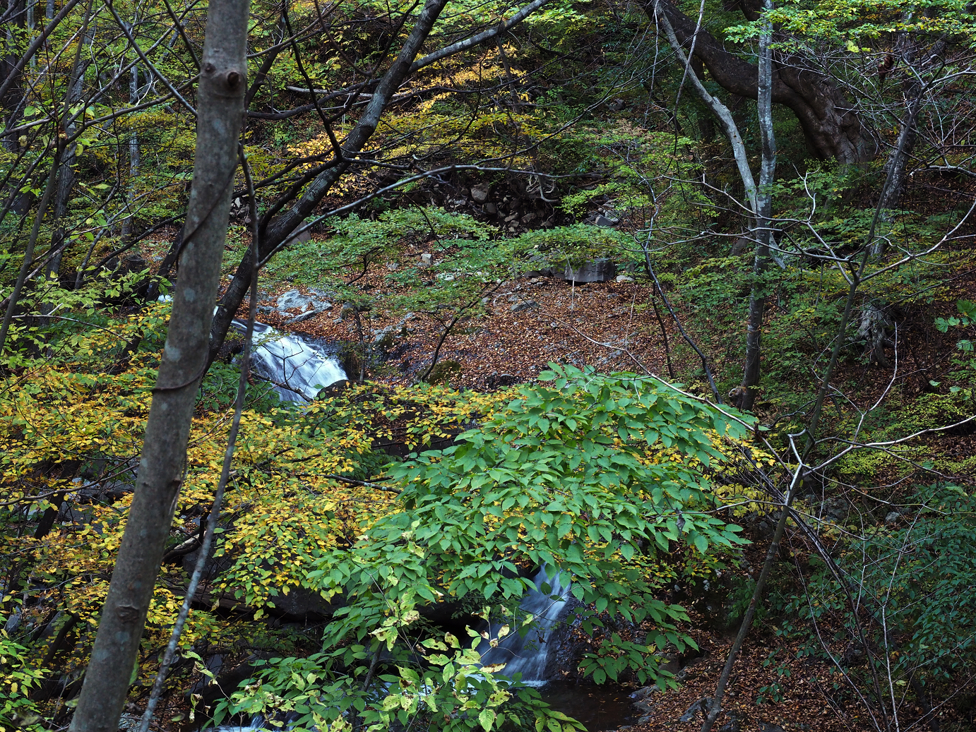 PA280802.jpg