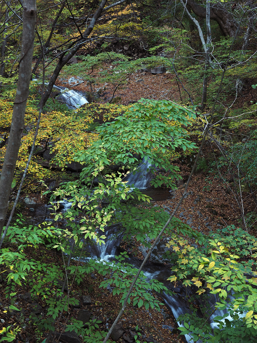 PA280806.jpg