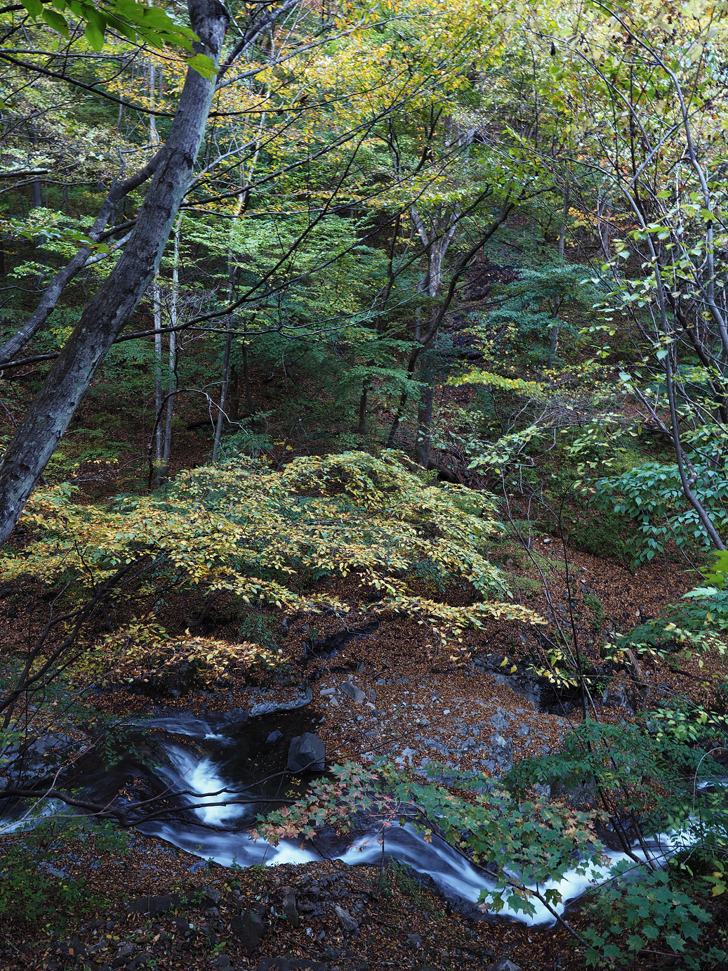 PA280812.jpg