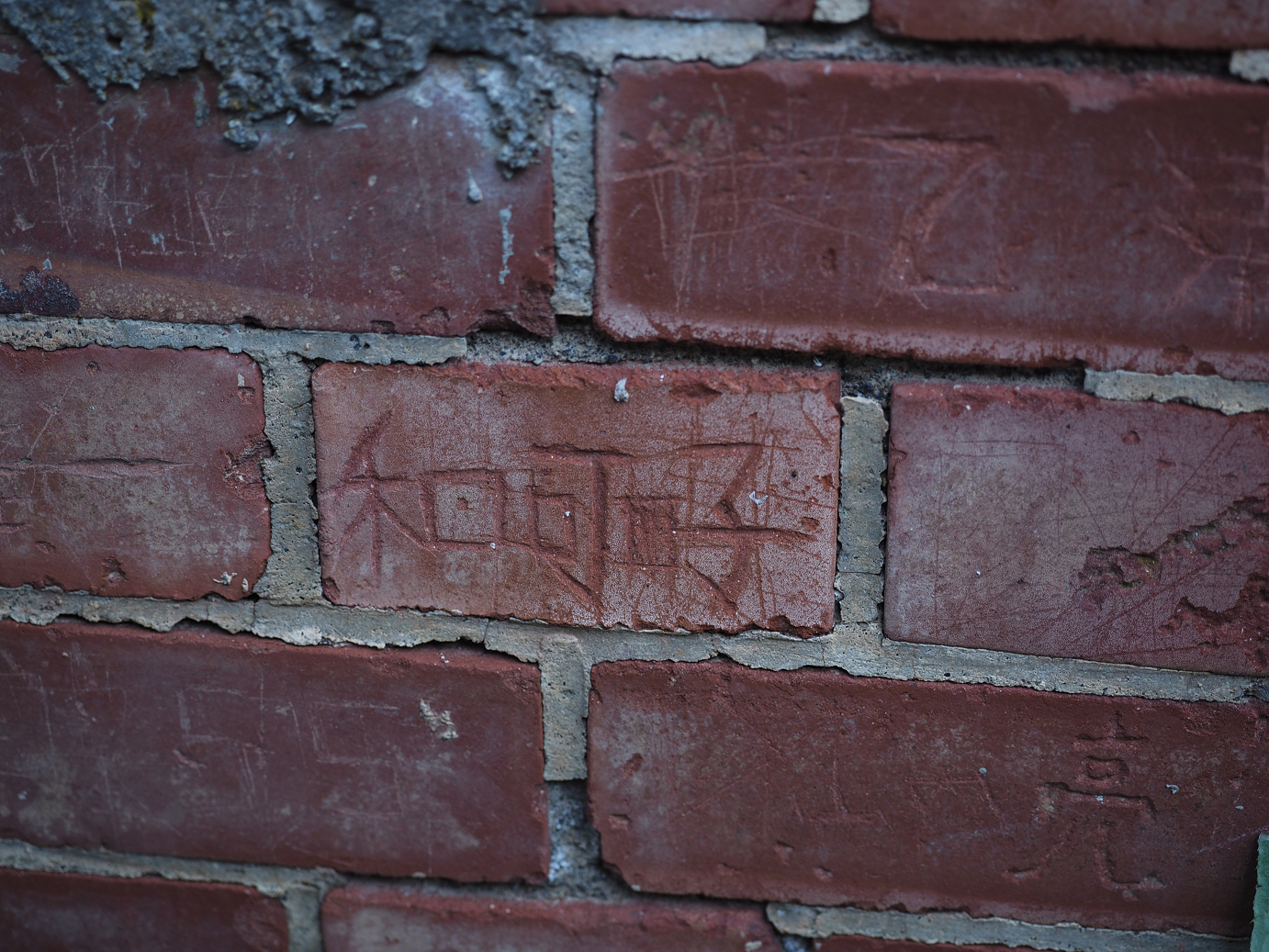 PA280820.jpg