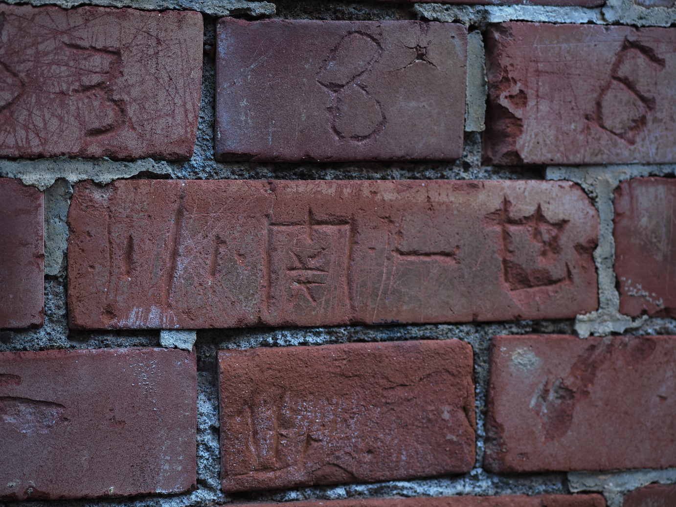 PA280821.jpg