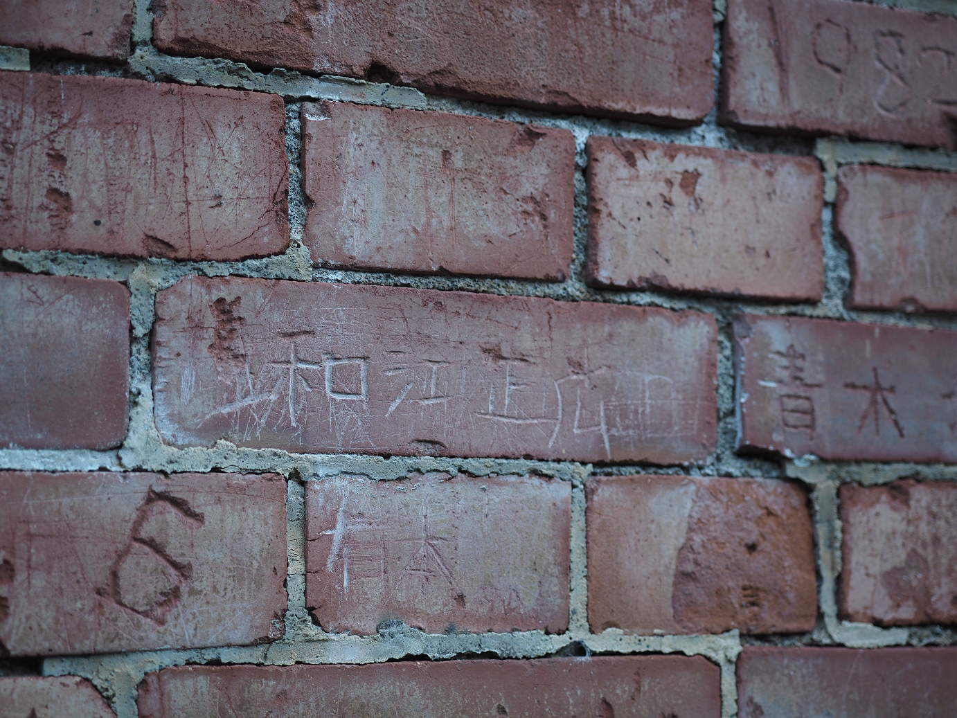 PA280822.jpg