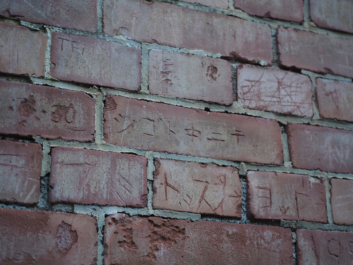 PA280824.jpg