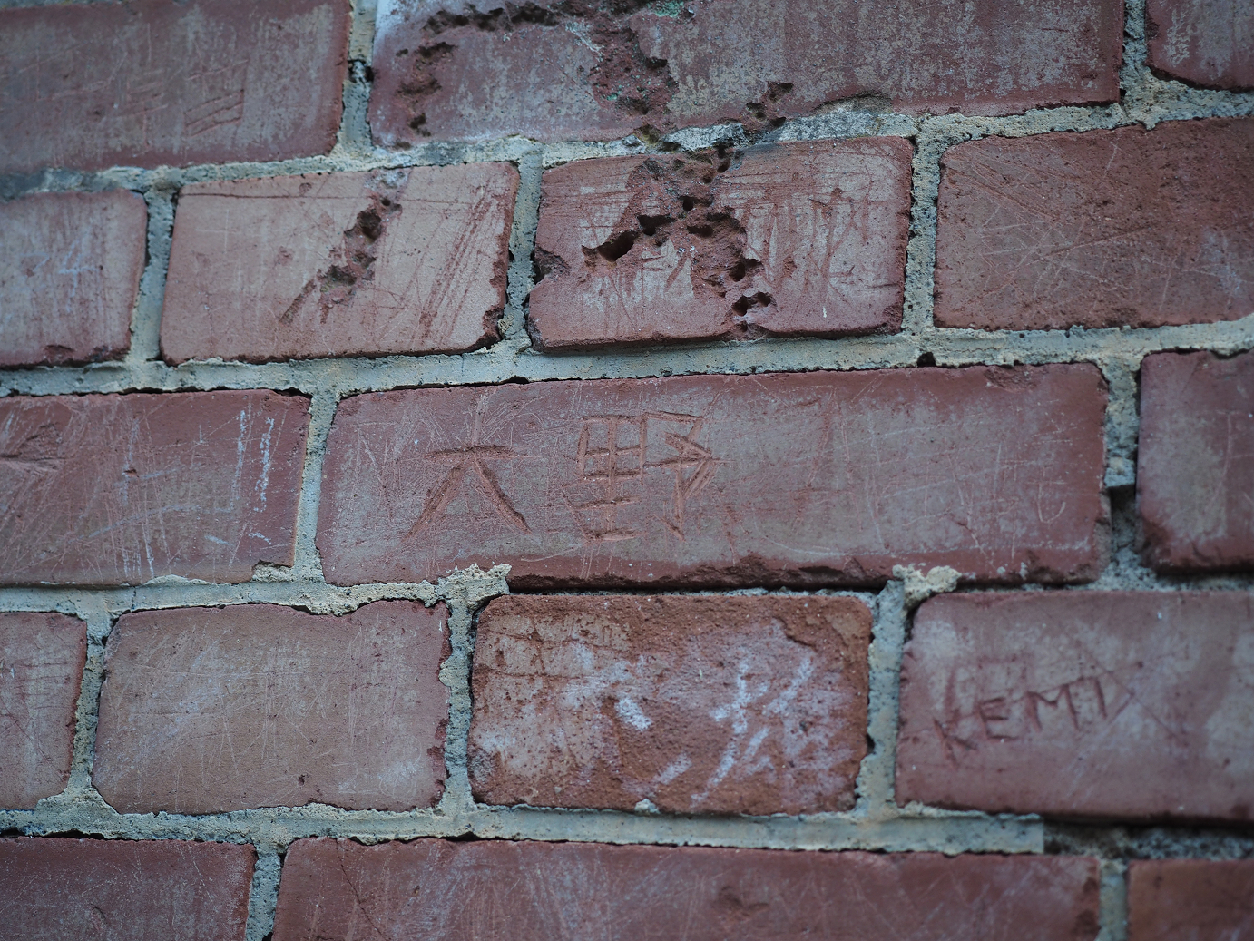 PA280825.jpg