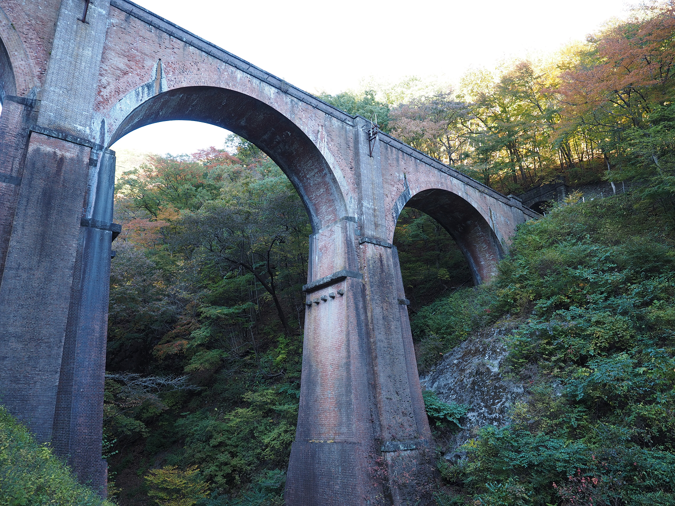 PA280829.jpg