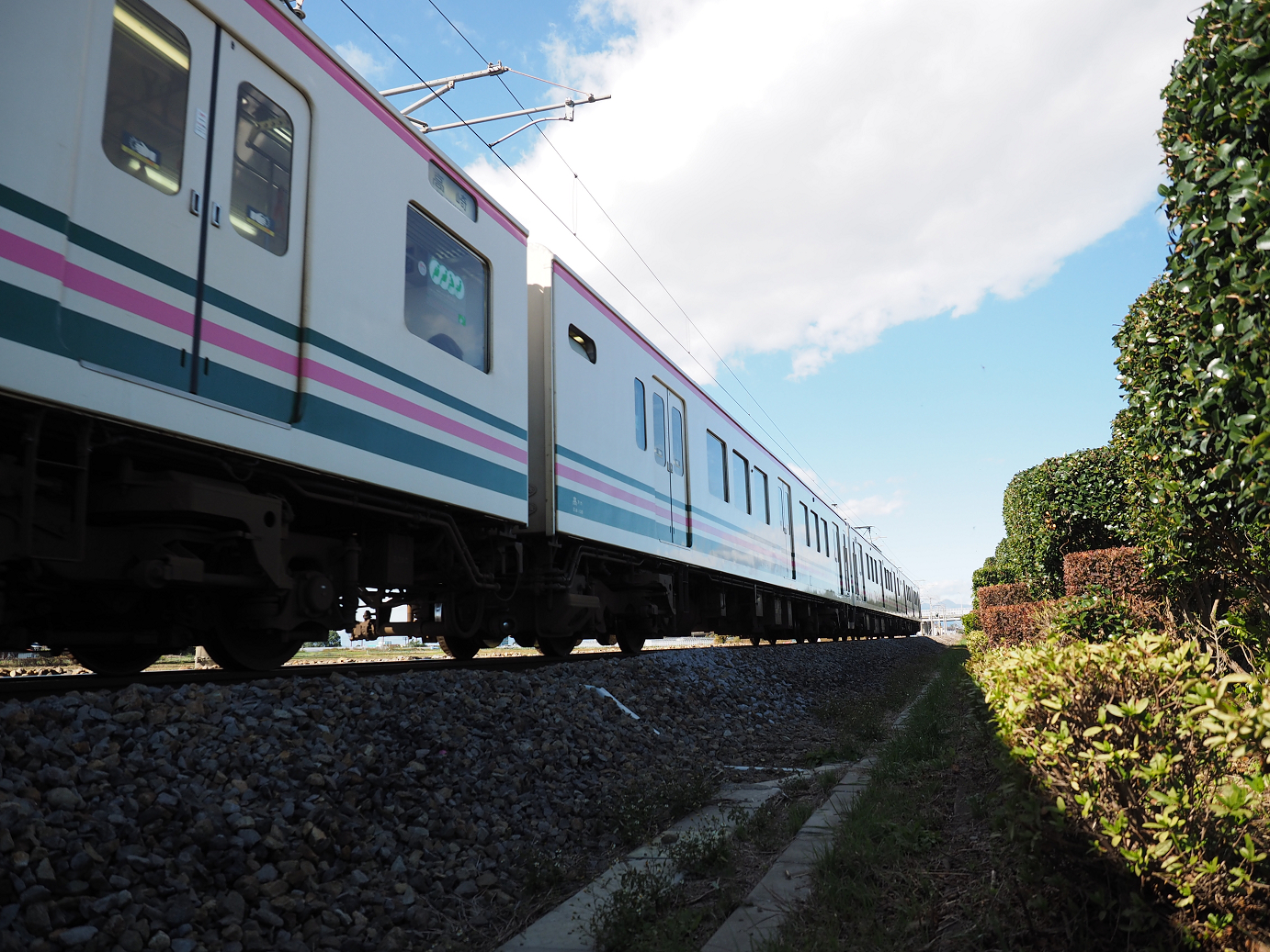 PB030009.jpg