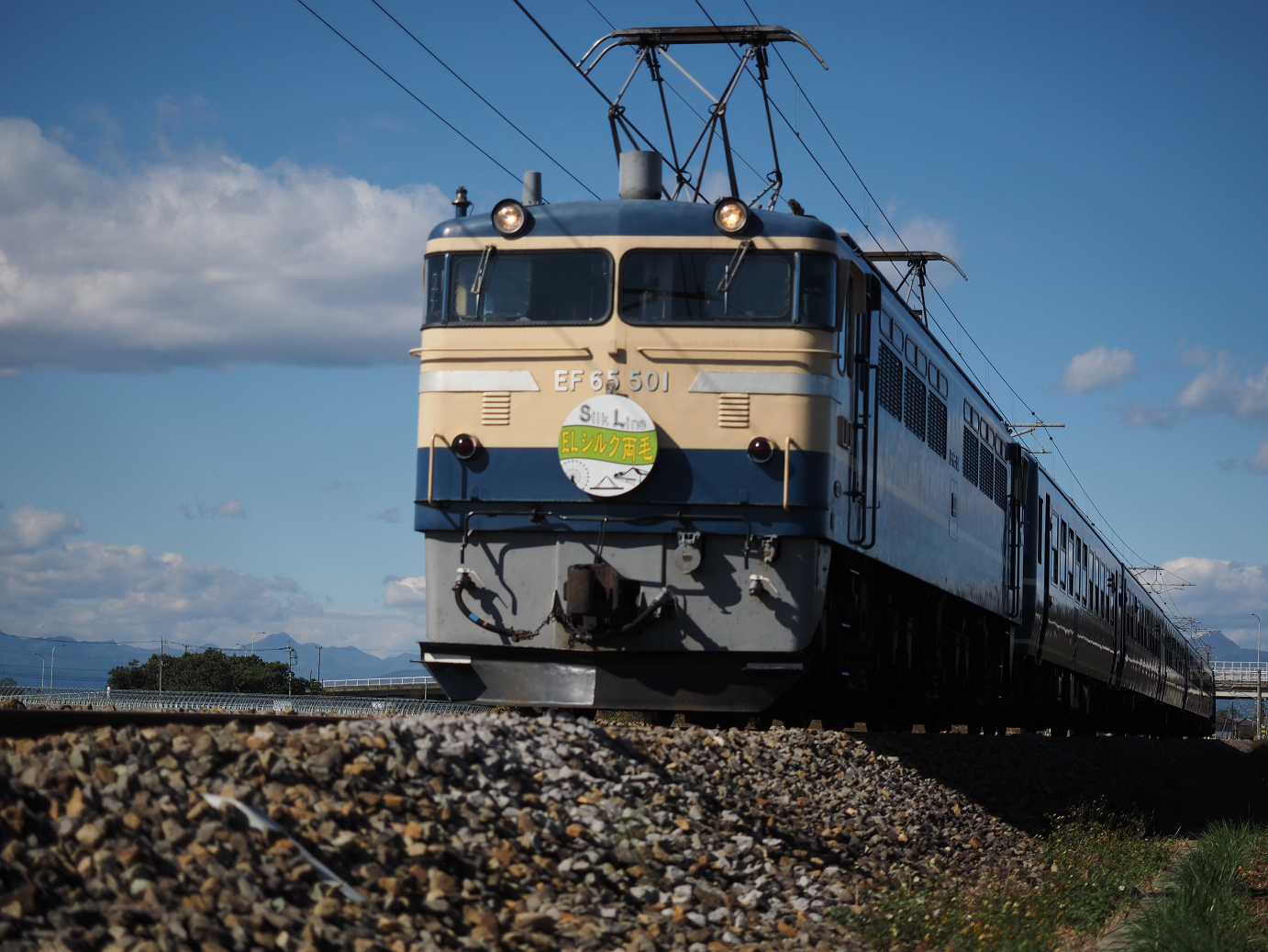 PB030067.jpg