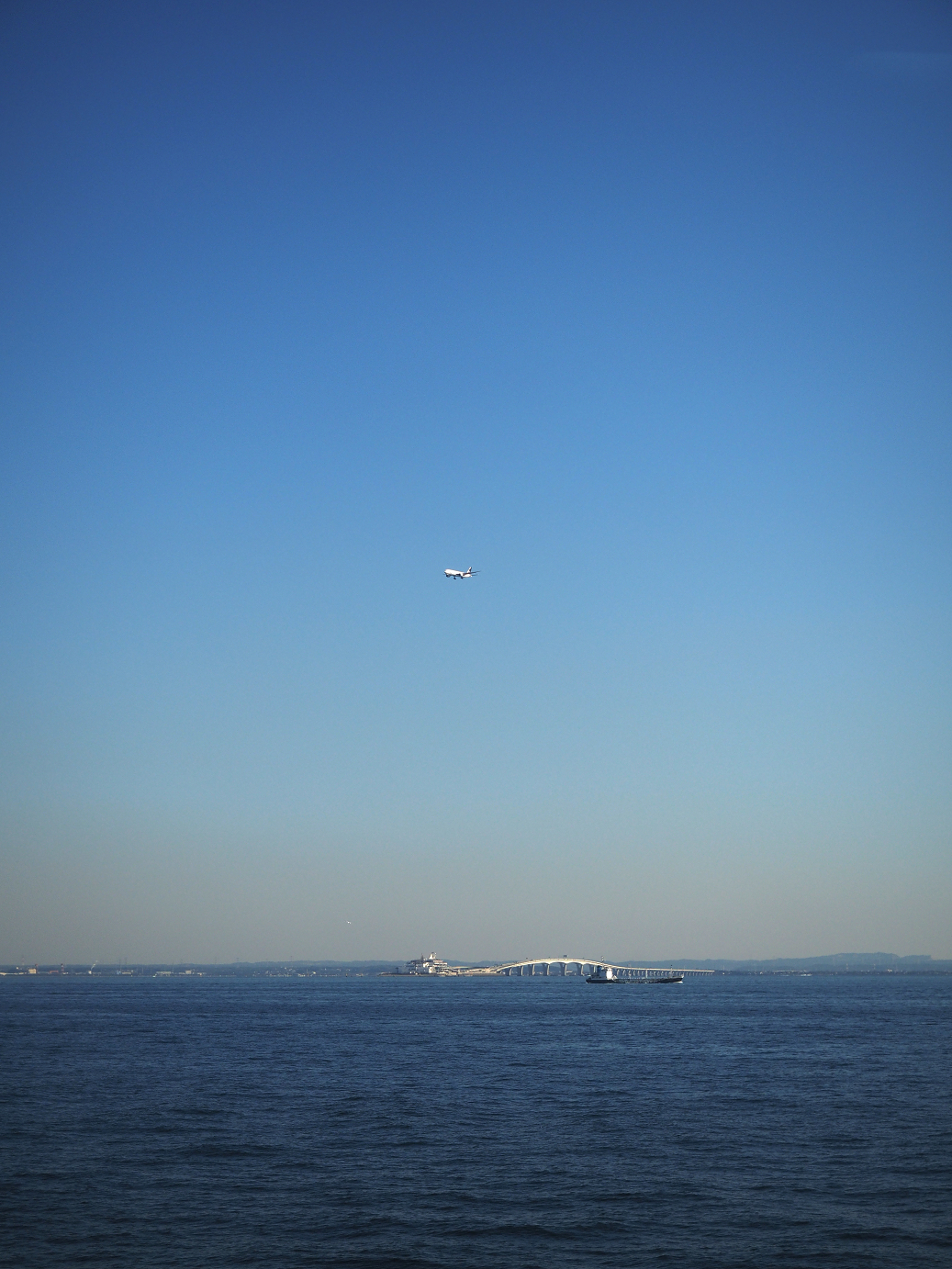 PB150081.jpg