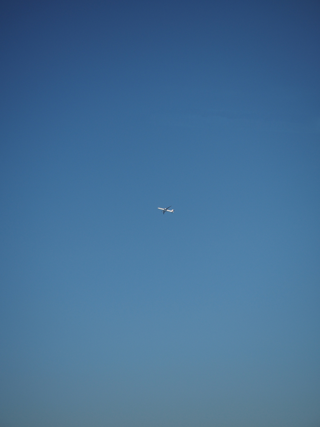 PB150107.jpg