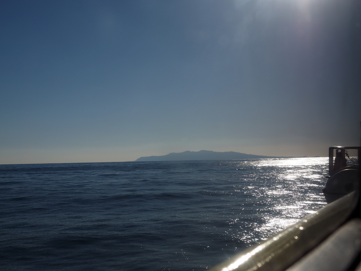 PB150117.jpg