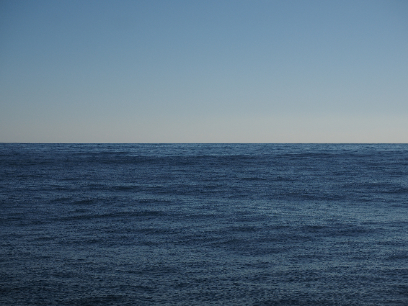 PB150119.jpg