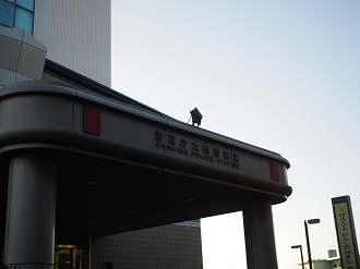 PB150190_thumb.png