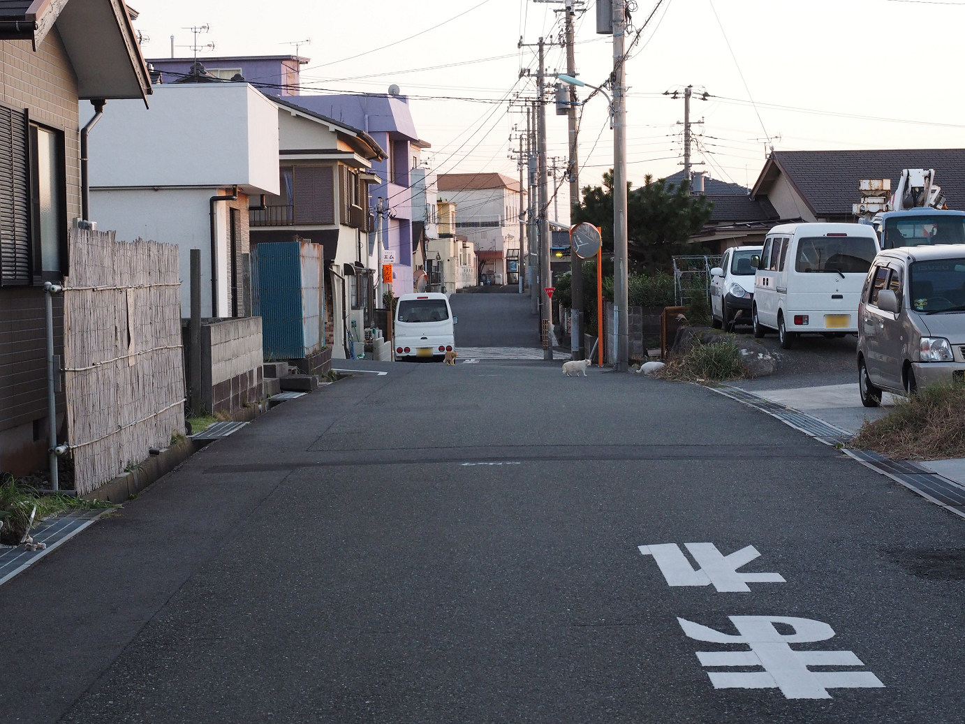 PB150200.jpg