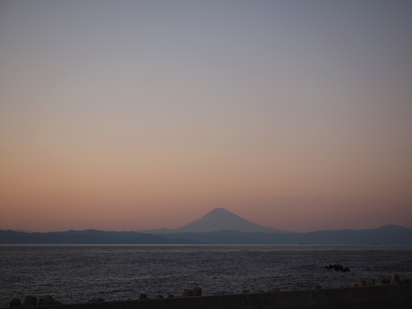 PB150219.jpg