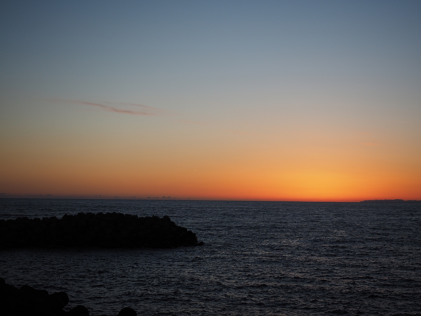 PB150229.jpg