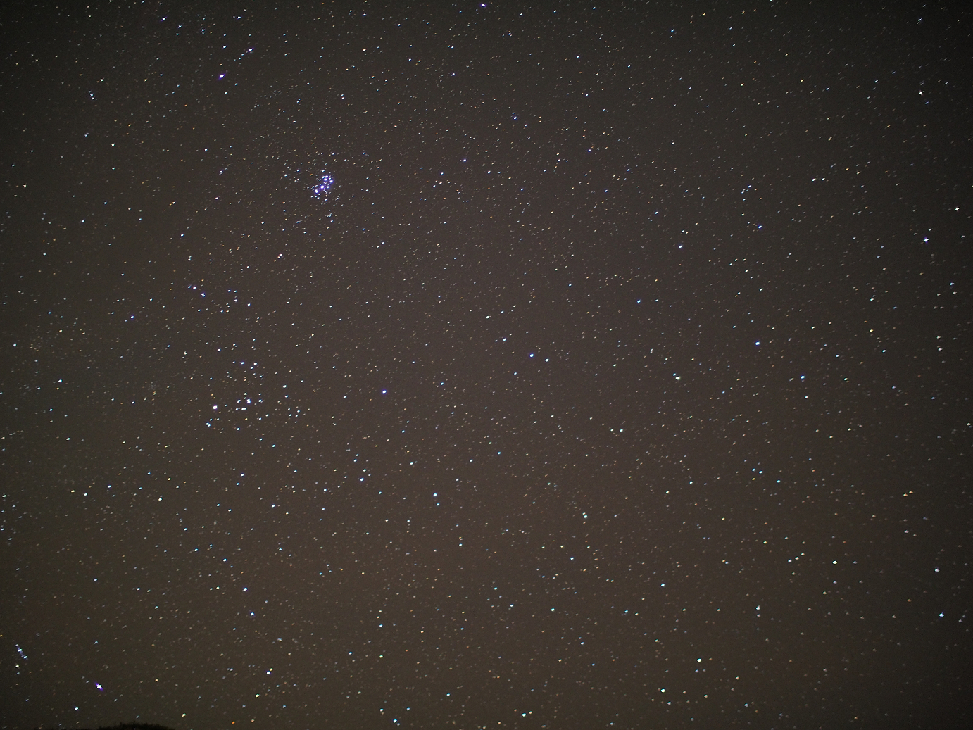 PB150296.jpg
