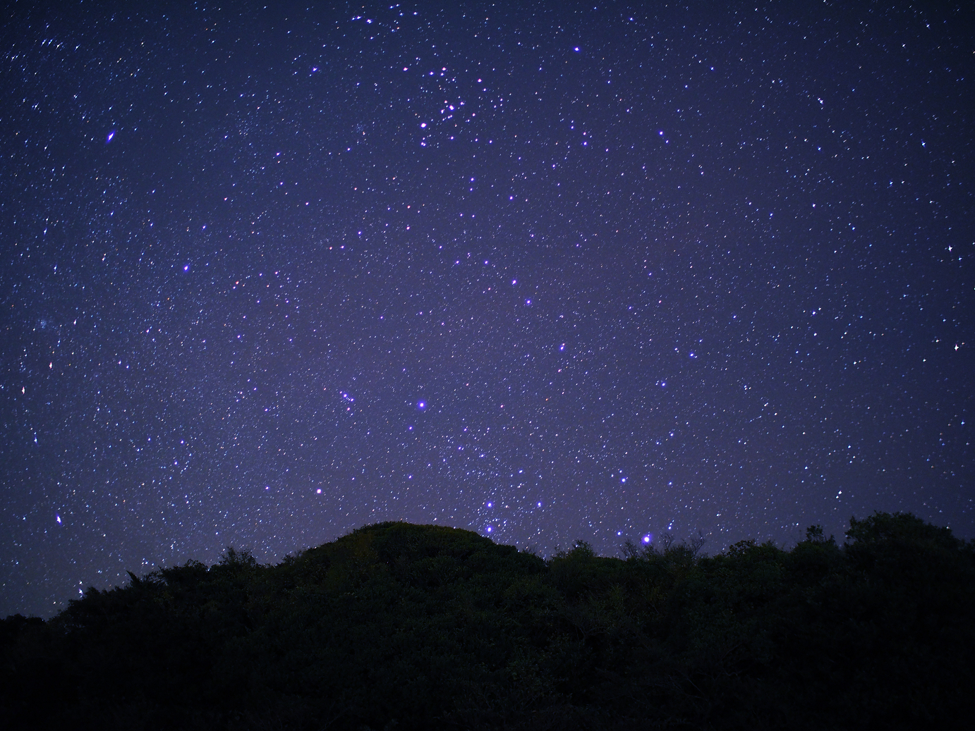 PB150311-2.jpg