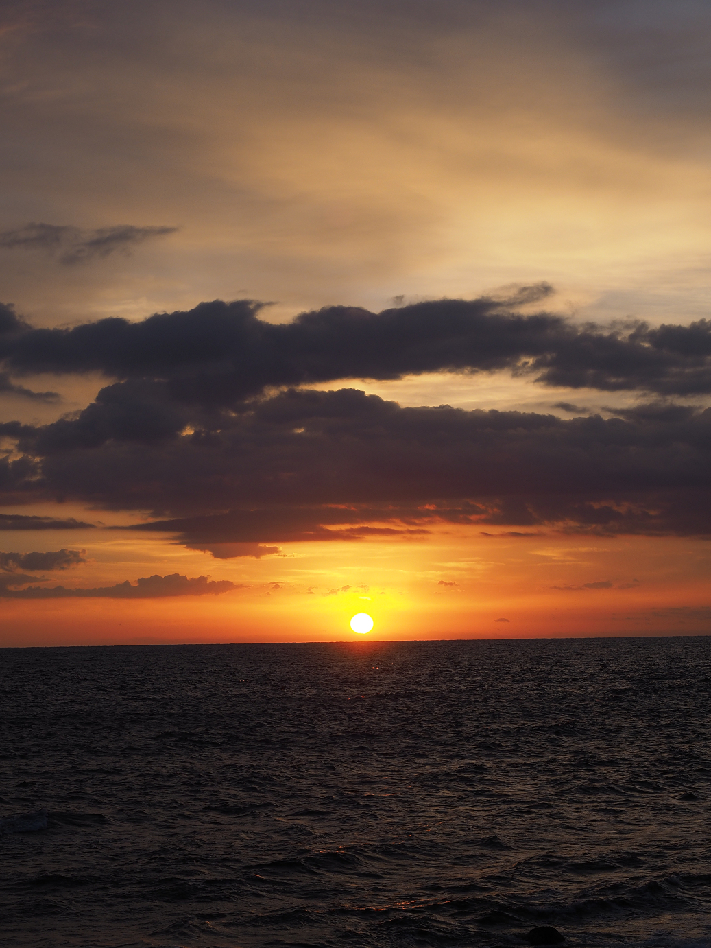 PB160414.jpg