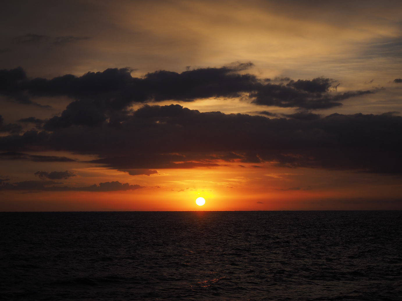 PB160424.jpg