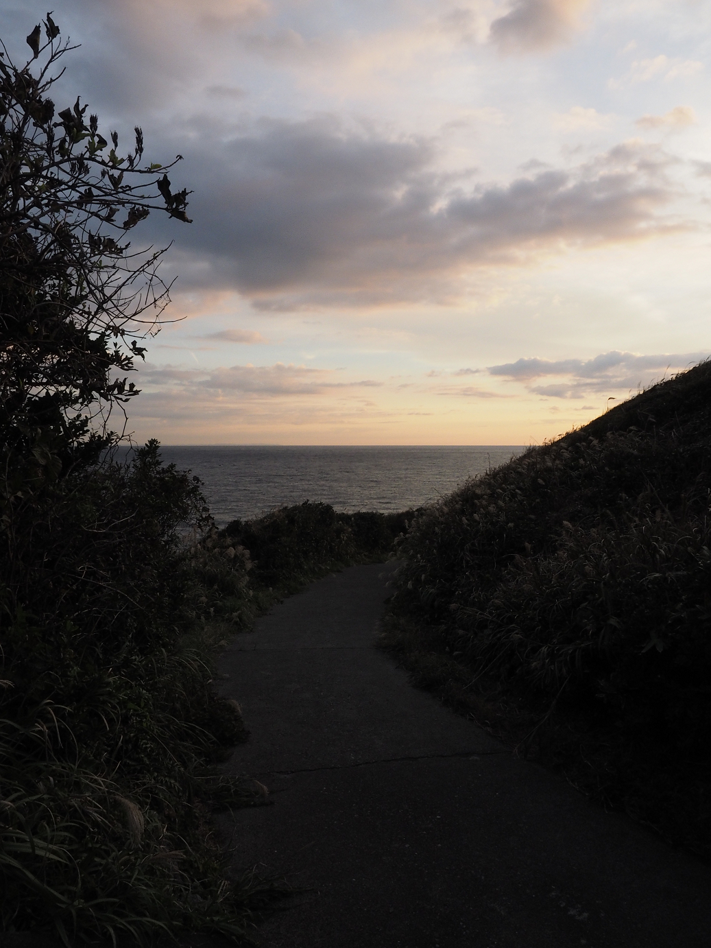 PB160480.jpg